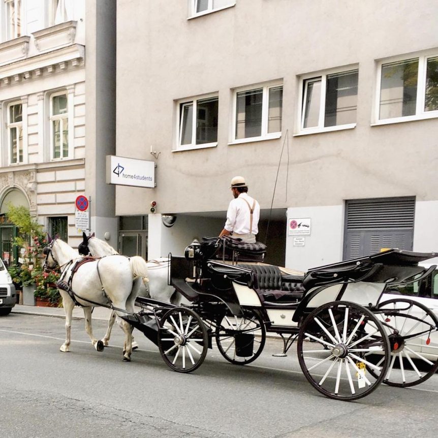 Fiaker in der Sensengasse