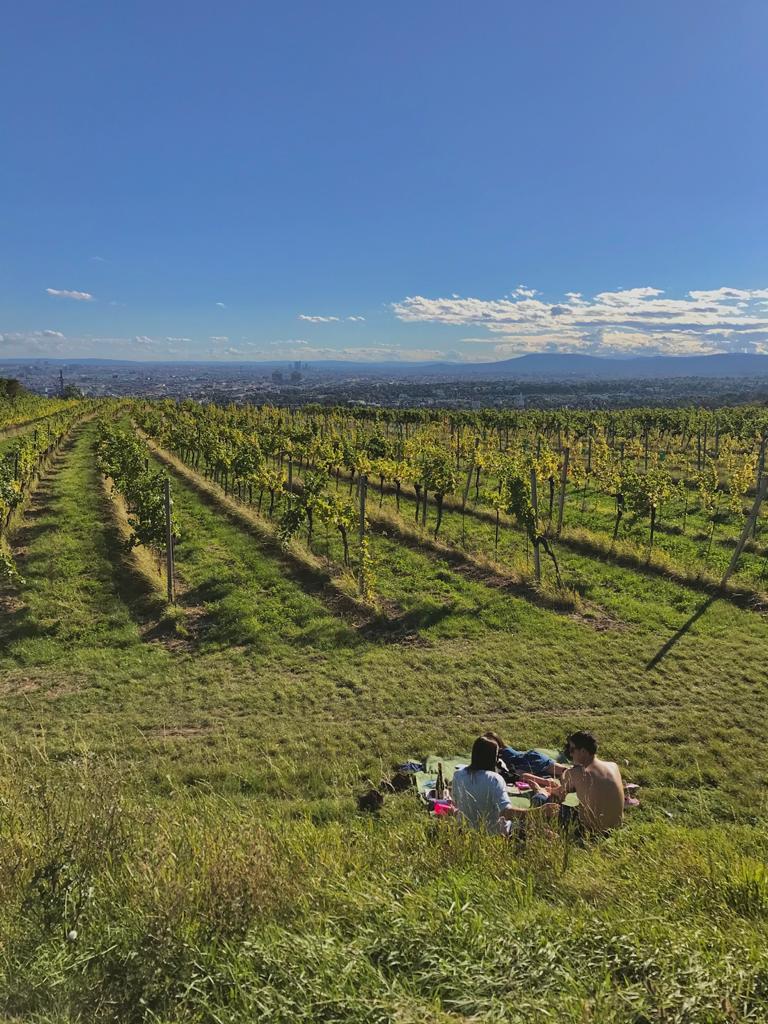 Blauer Himmel, Weinberge und ein Paar sitzt auf einer Picknickdecke im Graz