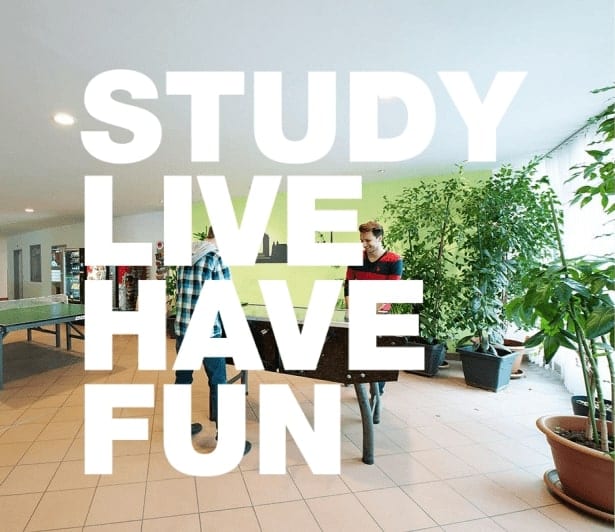 study - live - have fun